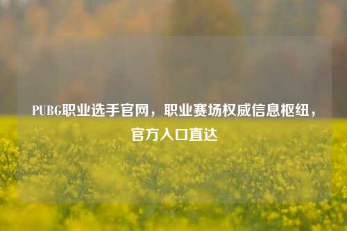 PUBG职业选手官网,职业赛场权威信息枢纽,官方入口直达