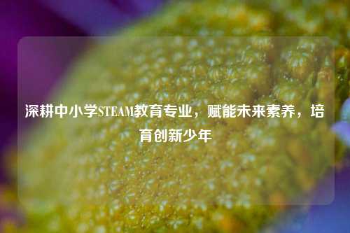 深耕中小学STEAM教育专业,赋能未来素养,培育创新少年