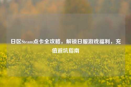 日区Steam点卡全攻略,解锁日服游戏福利,充值避坑指南
