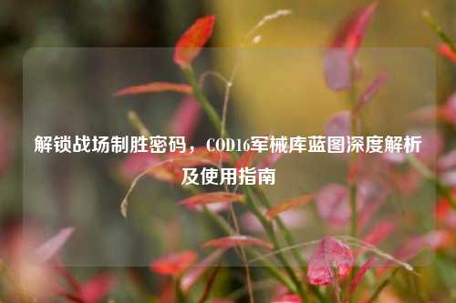 解锁战场制胜密码,COD16军械库蓝图深度解析及使用指南