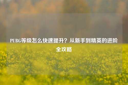 PUBG等级怎么快速提升？从新手到精英的进阶全攻略