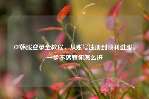 CF韩服登录全教程,从账号注册到顺利进服,一步不落教你怎么进
