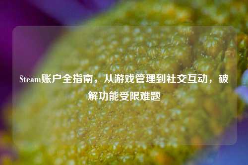 Steam账户全指南,从游戏管理到社交互动,破解功能受限难题