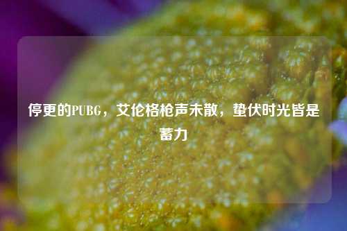停更的PUBG，艾伦格枪声未散，蛰伏时光皆是蓄力