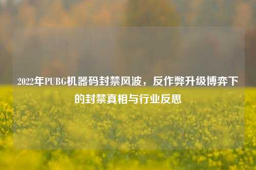 2022年PUBG机器码封禁风波,反作弊升级博弈下的封禁真相与行业反思