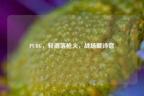 PUBG,轻雨落枪火,战场藏诗意
