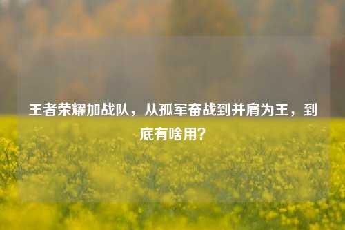 王者荣耀加战队,从孤军奋战到并肩为王,到底有啥用?
