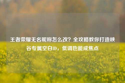 王者荣耀无名昵称怎么改?全攻略教你打造峡谷专属空白ID,低调也能成焦点