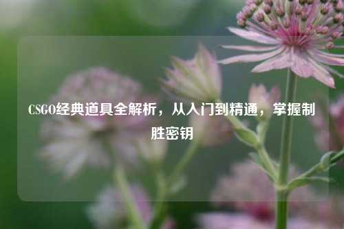 CSGO经典道具全解析,从入门到精通,掌握制胜密钥