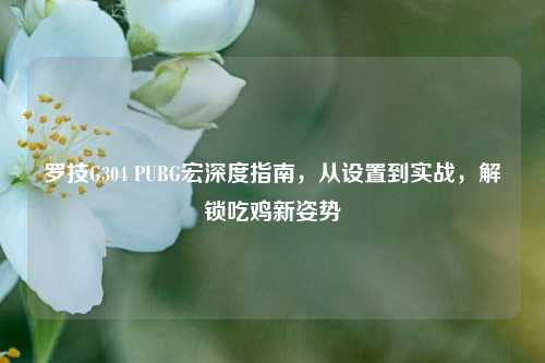 罗技G304 PUBG宏深度指南,从设置到实战,解锁吃鸡新姿势
