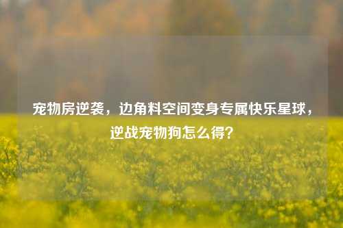 宠物房逆袭,边角料空间变身专属快乐星球,逆战宠物狗怎么得?