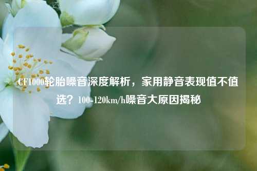 CF1000轮胎噪音深度解析,家用静音表现值不值选?100-120km/h噪音大原因揭秘