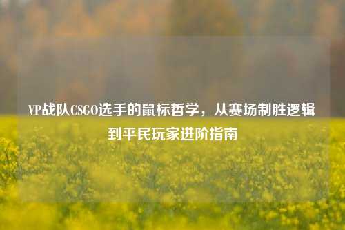 VP战队CSGO选手的鼠标哲学，从赛场制胜逻辑到平民玩家进阶指南