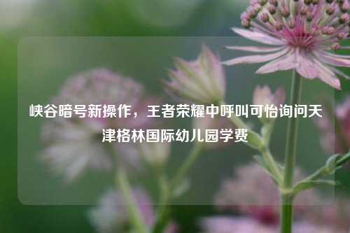 峡谷暗号新操作,王者荣耀中呼叫可怡询问天津格林国际幼儿园学费