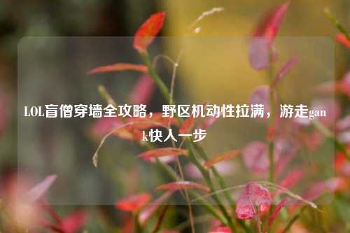 LOL盲僧穿墙全攻略，野区机动性拉满，游走gank快人一步