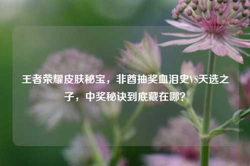 王者荣耀皮肤秘宝，非酋抽奖血泪史VS天选之子，中奖秘诀到底藏在哪？
