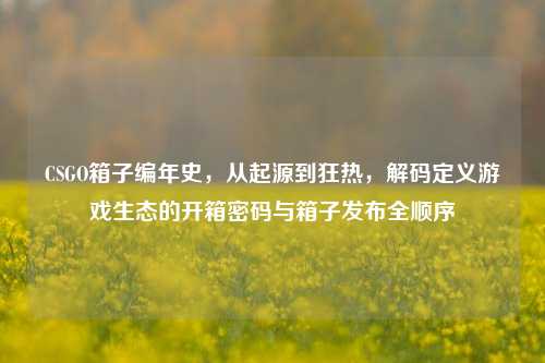 CSGO箱子编年史,从起源到狂热,解码定义游戏生态的开箱密码与箱子发布全顺序