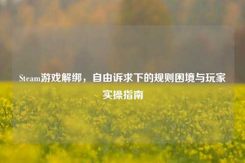 Steam游戏解绑,自由诉求下的规则困境与玩家实操指南