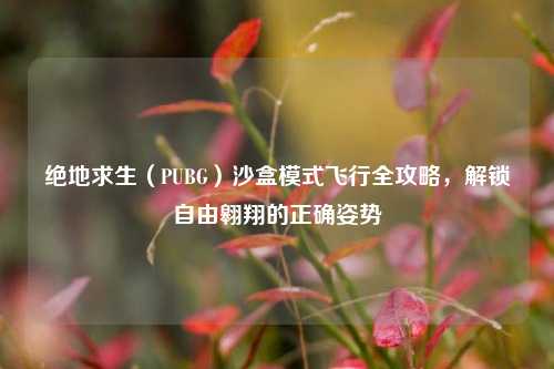 绝地求生(PUBG)沙盒模式飞行全攻略,解锁自由翱翔的正确姿势