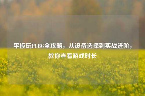 平板玩PUBG全攻略，从设备选择到实战进阶，教你查看游戏时长