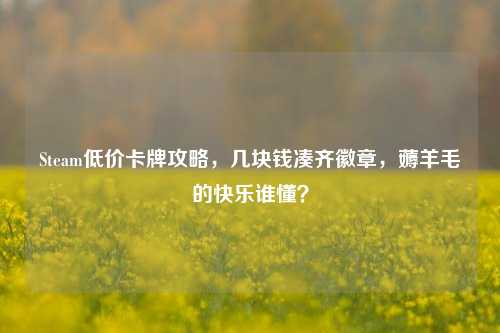Steam低价卡牌攻略,几块钱凑齐徽章,薅羊毛的快乐谁懂?