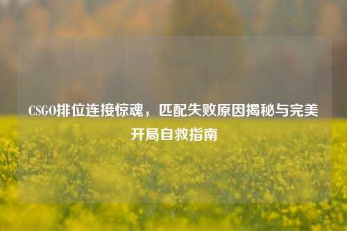 CSGO排位连接惊魂,匹配失败原因揭秘与完美开局自救指南
