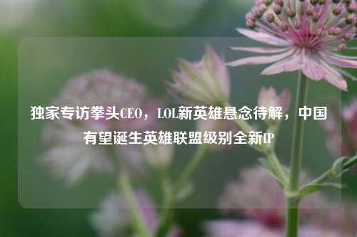 独家专访拳头CEO,LOL新英雄悬念待解,中国有望诞生英雄联盟级别全新IP
