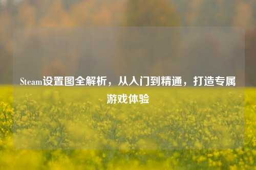 Steam设置图全解析,从入门到精通,打造专属游戏体验