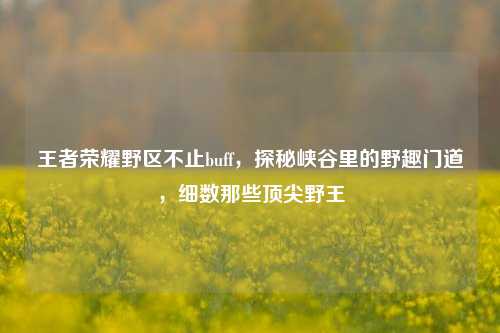 王者荣耀野区不止buff,探秘峡谷里的野趣门道,细数那些顶尖野王