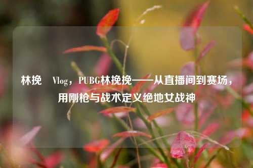 林挽風Vlog,PUBG林挽挽——从直播间到赛场,用刚枪与战术定义绝地女战神