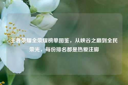 王者荣耀全荣耀榜单图鉴,从峡谷之巅到全民荣光,每份排名都是热爱注脚
