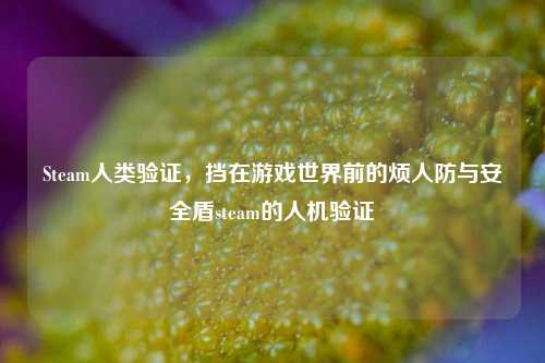 Steam人类验证，挡在游戏世界前的烦人防与安全盾steam的人机验证