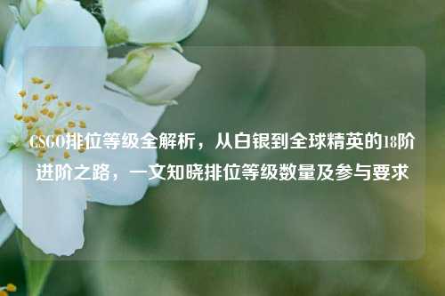 CSGO排位等级全解析,从白银到全球精英的18阶进阶之路,一文知晓排位等级数量及参与要求