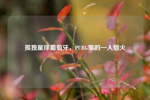 孤独星球葡萄牙，PUBG里的一人烟火