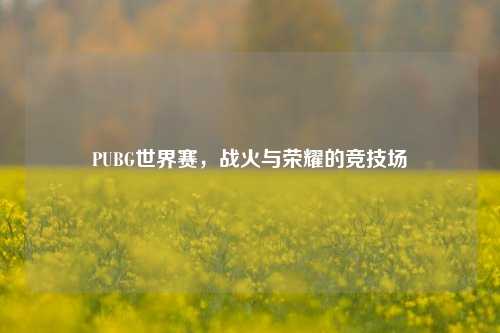PUBG世界赛,战火与荣耀的竞技场