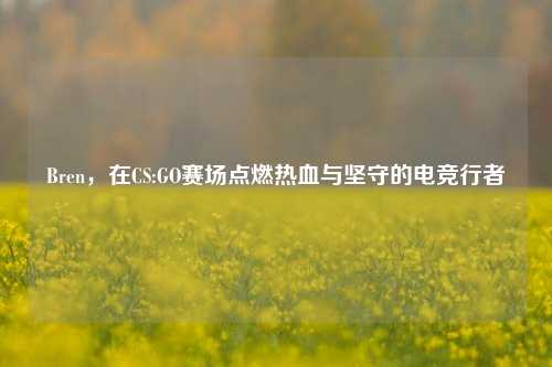 Bren,在CS:GO赛场点燃热血与坚守的电竞行者