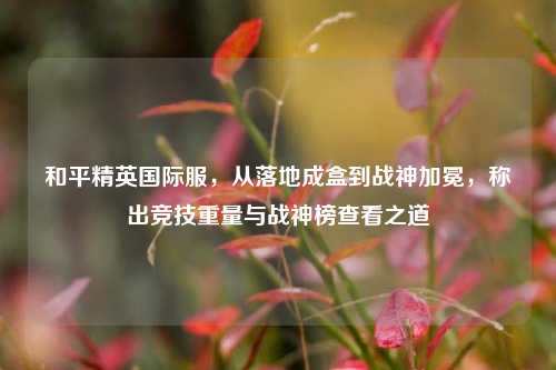 和平精英国际服,从落地成盒到战神加冕,称出竞技重量与战神榜查看之道