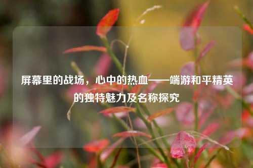 屏幕里的战场,心中的热血——端游和平精英的独特魅力及名称探究