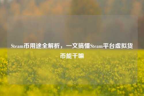 Steam币用途全解析，一文搞懂Steam平台虚拟货币能干嘛