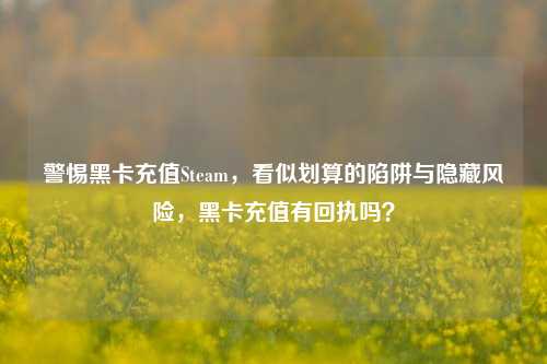 警惕黑卡充值Steam,看似划算的陷阱与隐藏风险,黑卡充值有回执吗?