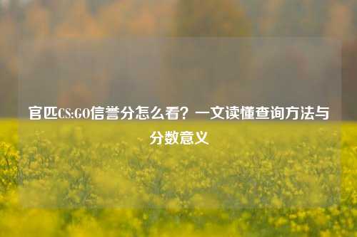 官匹CS:GO信誉分怎么看?一文读懂查询方法与分数意义