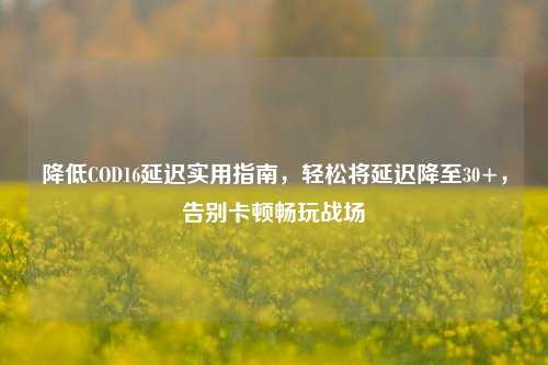 降低COD16延迟实用指南,轻松将延迟降至30+,告别卡顿畅玩战场