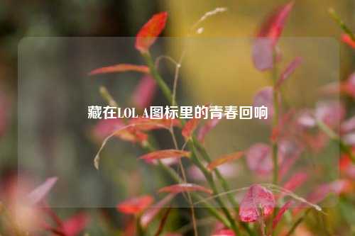 藏在LOL A图标里的青春回响