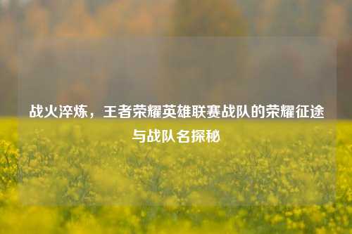 战火淬炼,王者荣耀英雄联赛战队的荣耀征途与战队名探秘
