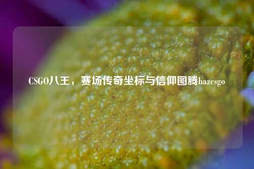 CSGO八王，赛场传奇坐标与信仰图腾bazcsgo