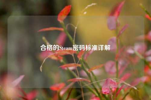 合格的Steam密码标准详解