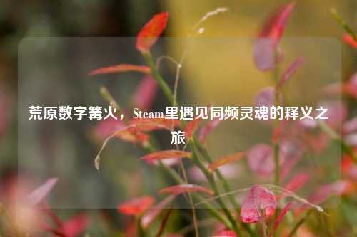 荒原数字篝火，Steam里遇见同频灵魂的释义之旅