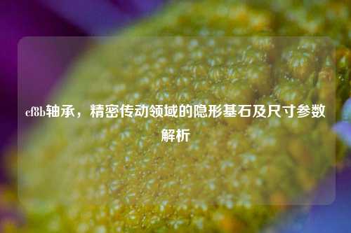 cf8b轴承,精密传动领域的隐形基石及尺寸参数解析