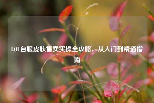 LOL台服皮肤售卖实操全攻略，从入门到精通指南