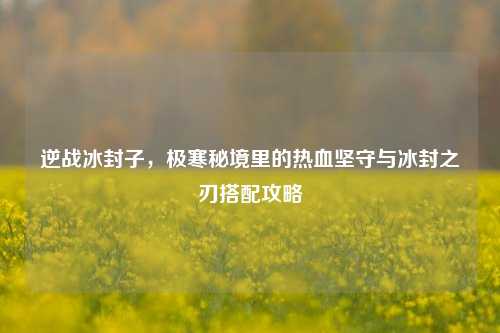 逆战冰封子,极寒秘境里的热血坚守与冰封之刃搭配攻略
